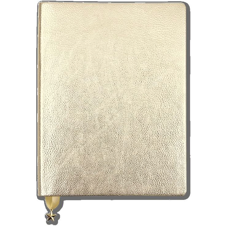 دفتر مذكرات أُول ذات جليترز من جو ستيشنري بلون ذهبي معدني فاتح مقاس A5 دون تواريخ