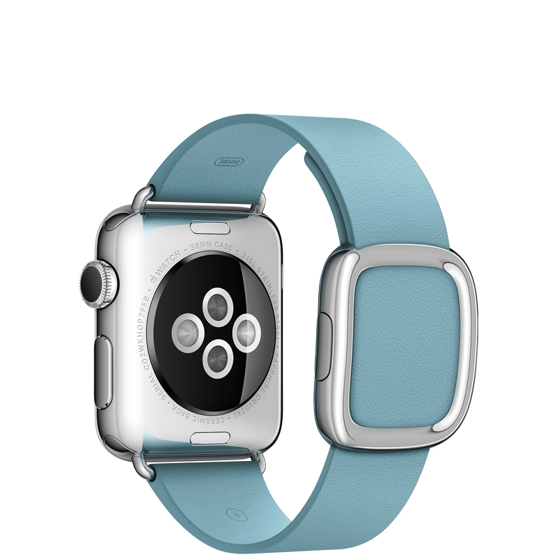Apple Watch Stainless Steel Case with Blue Jay Modern Buckle Small 38mm