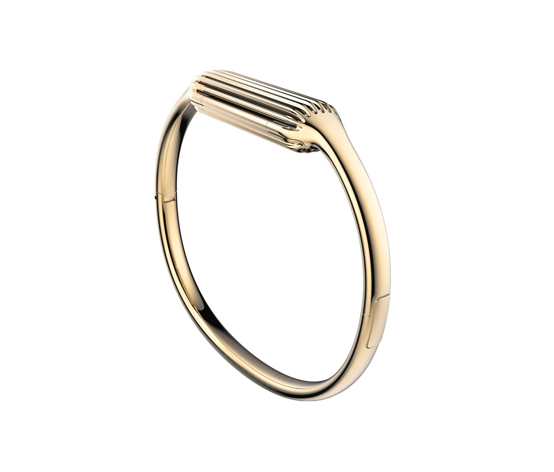 Fitbit Flex 2 Gold Small Bangle
